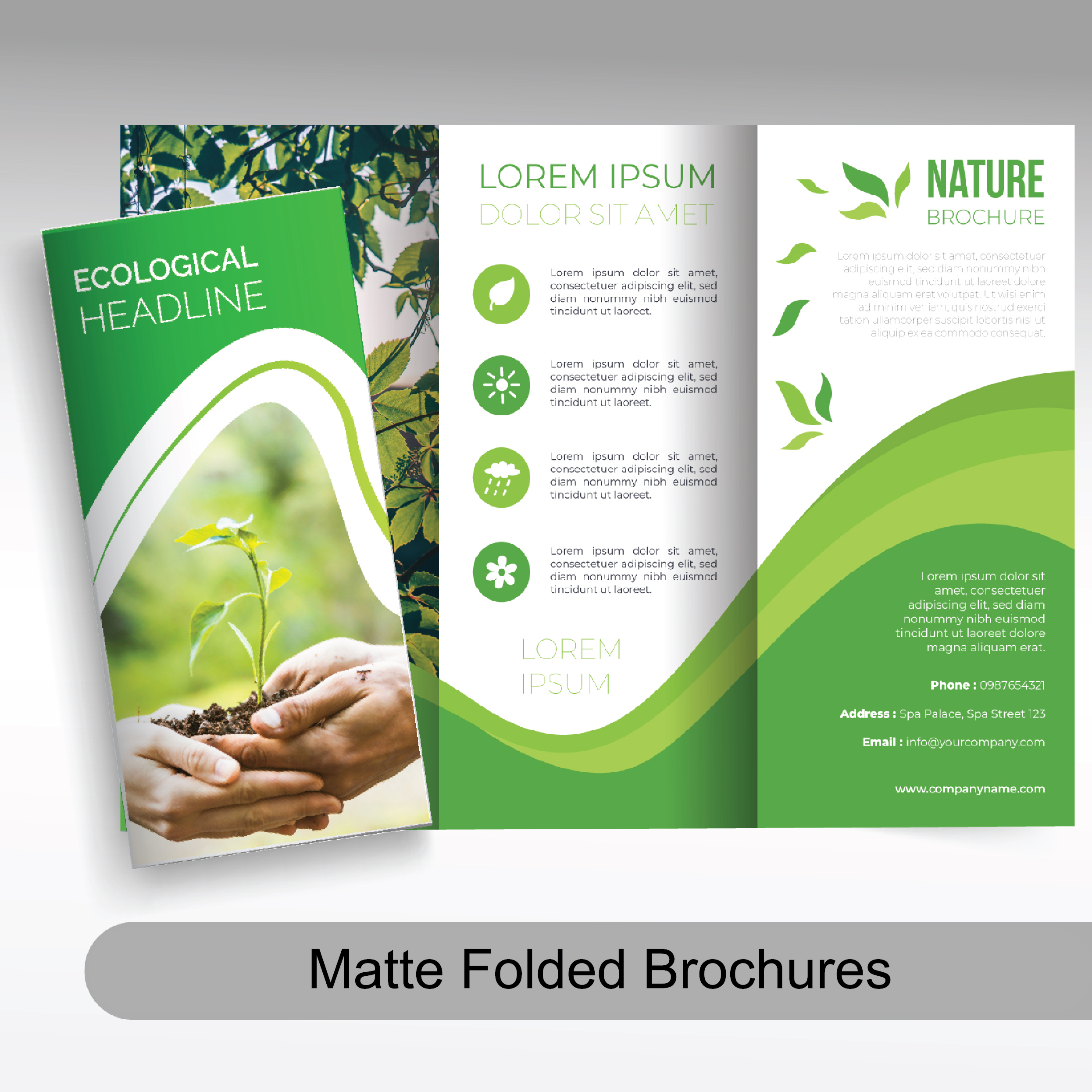 Folded Brochures (Matte Coated)
