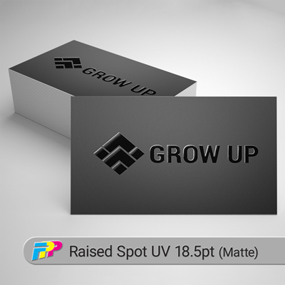 Raised Spot UV Business Cards (Matte Silk)