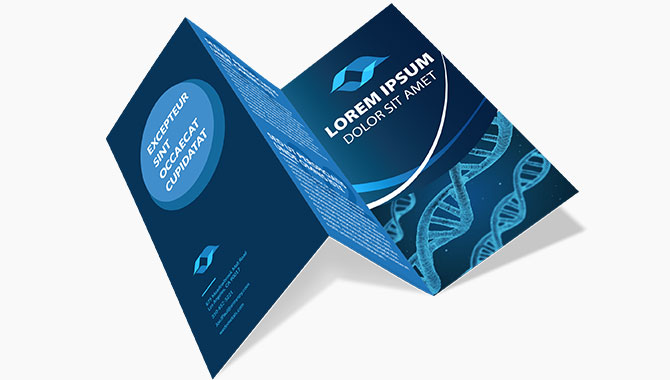 brochure_2