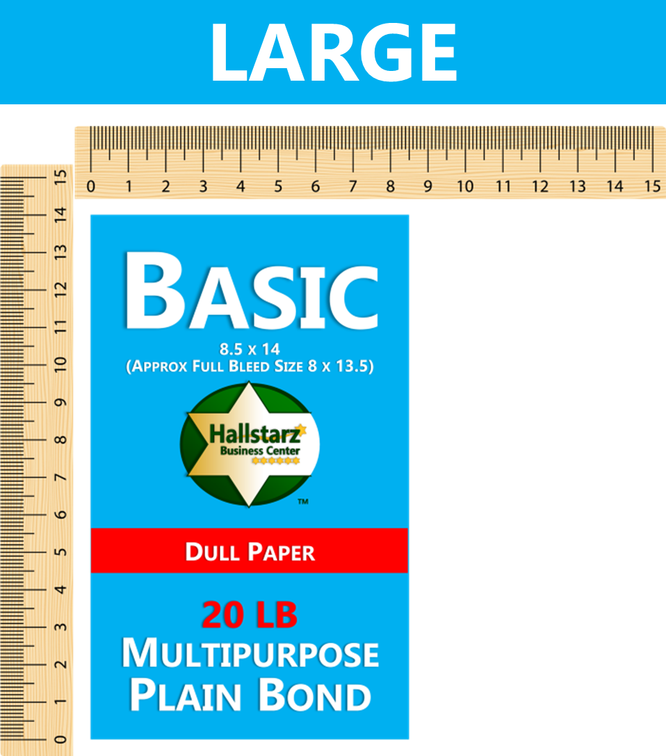 BASIC FLYERS 2