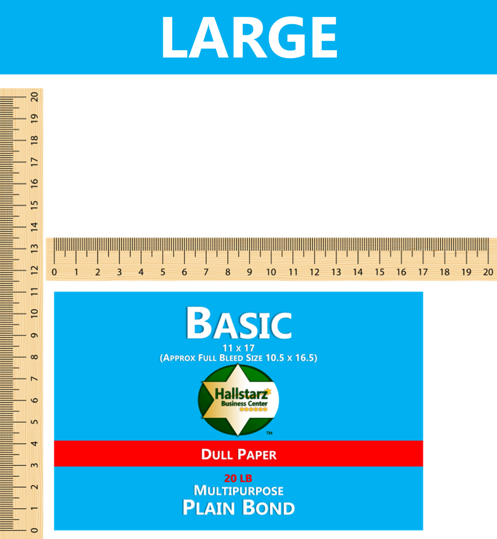 BASIC BROCHURES 3