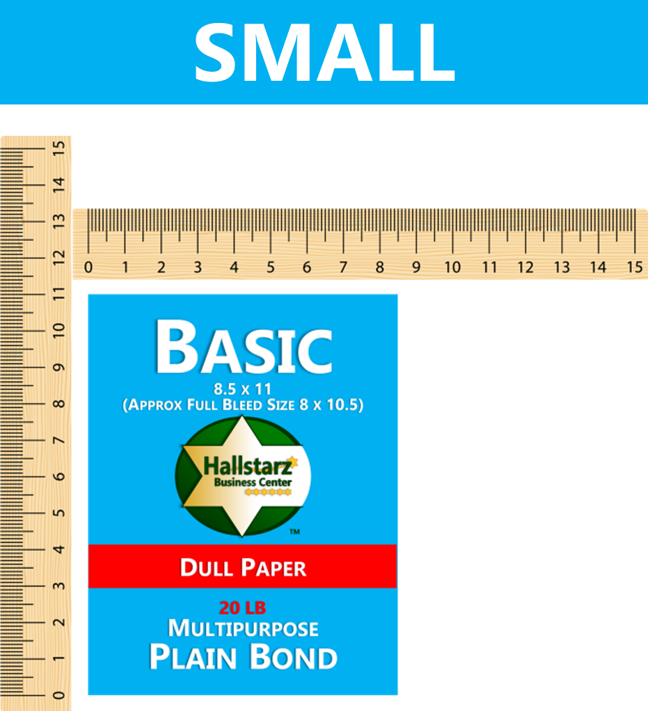 BASIC FLYERS 1