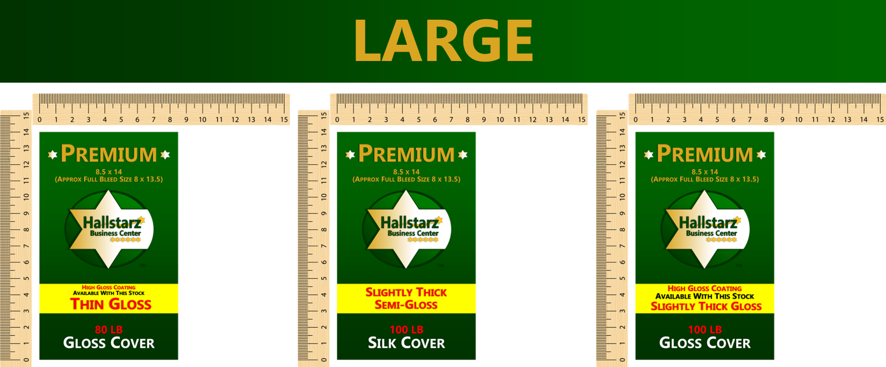 PREMIUM FLYERS 2