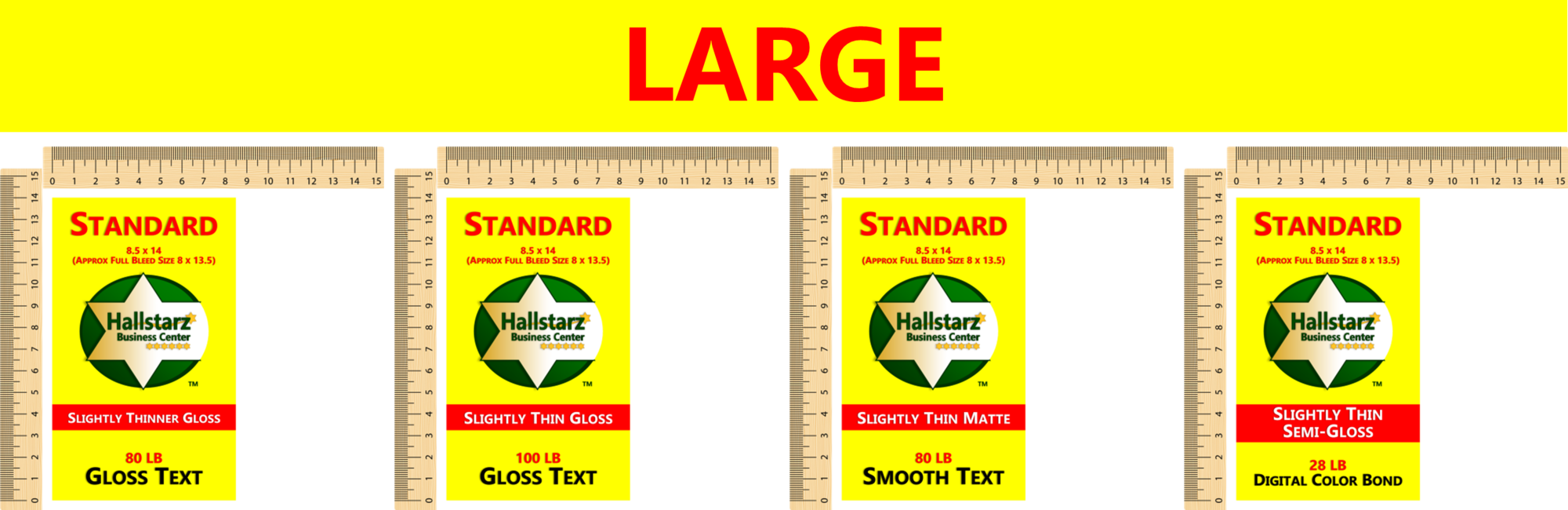 STANDARD FLYERS 2