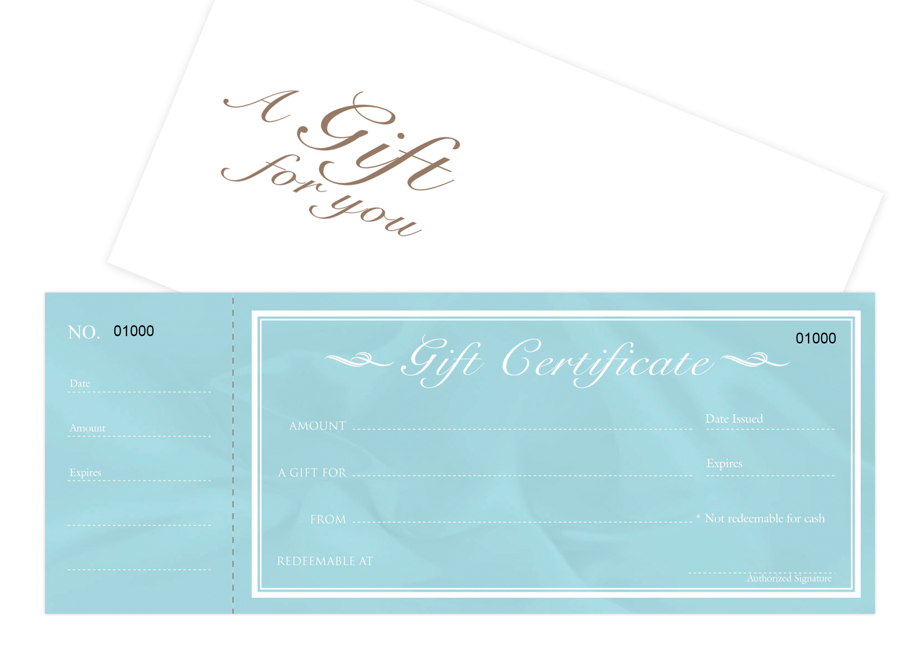 Blank Gift Certificates 25set - Modern Teal with Stub