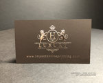 Embossed  Dark Brown Business Cards 2