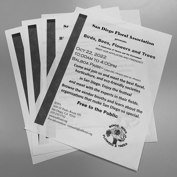 Black & White Copies