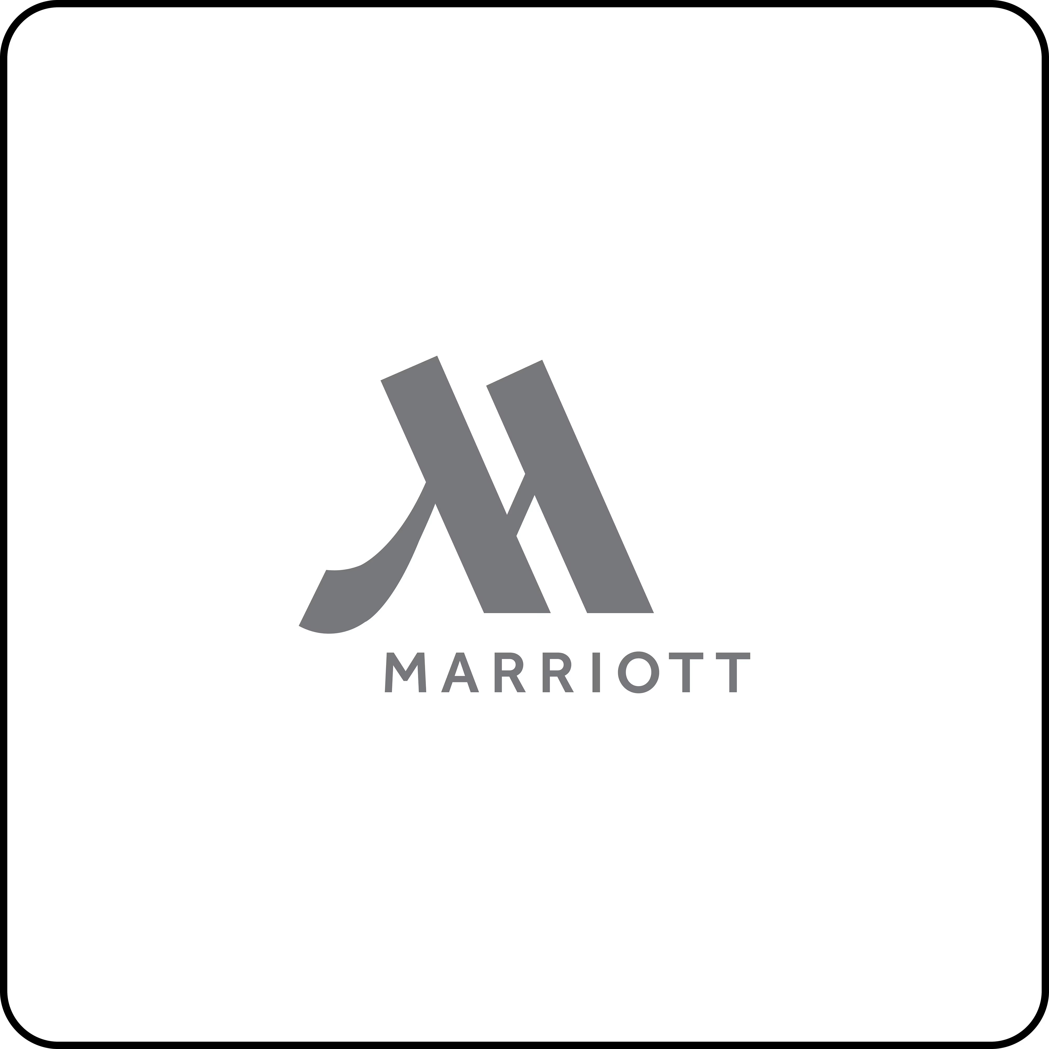 Marriott Luxury Branded Stock