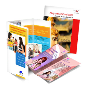 Brochures Brochures