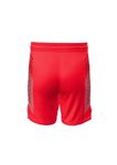 MEN'S WRESTLING SHORTS 4