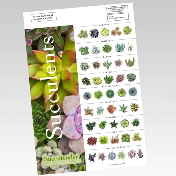 EDDM Full Service - Sell Sheets 1
