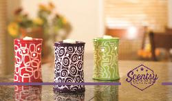 Scentsy Business Card Design 6