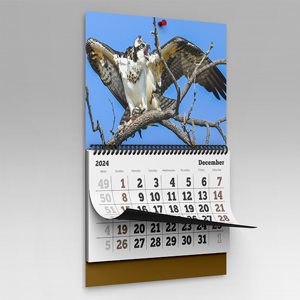 Calendars 2