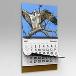 Calendars 2