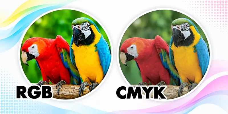 Parrots RGB to CMYK shift