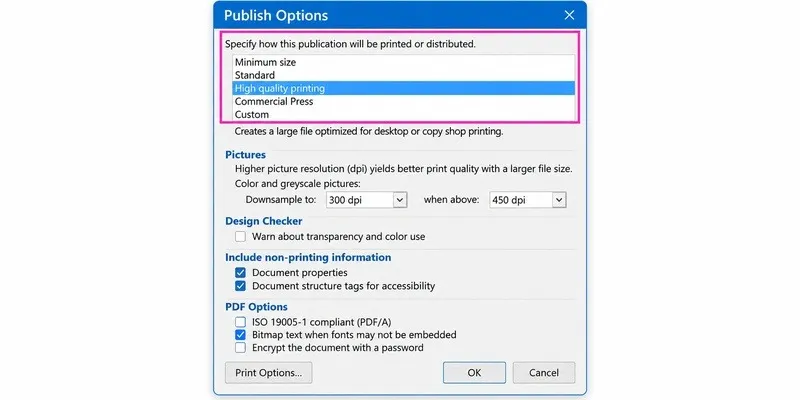 Publisher publish options