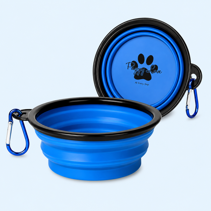 Feeding & Bowls