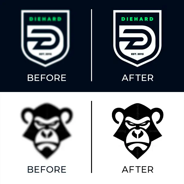 Re-Create / Vector Logo