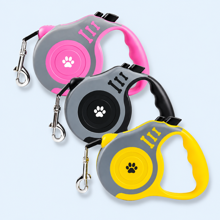 Harness & Leashes