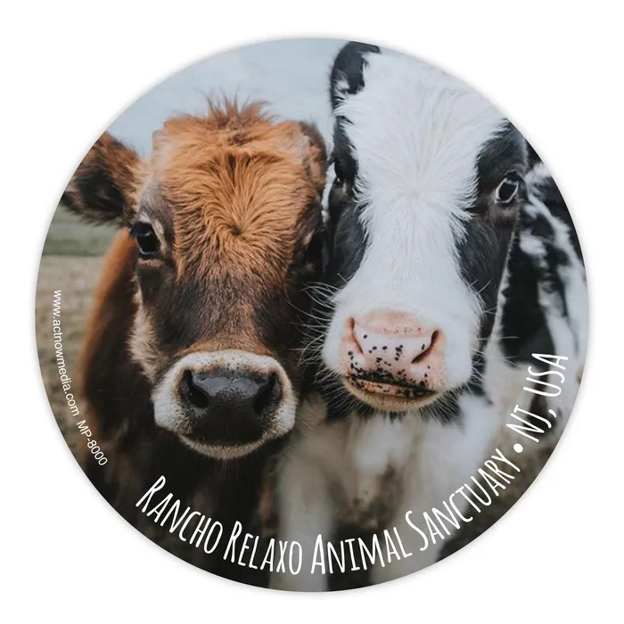 https://dv12lc9eedkje.cloudfront.net/usprintin/images/product/image_10021921202507.jpg