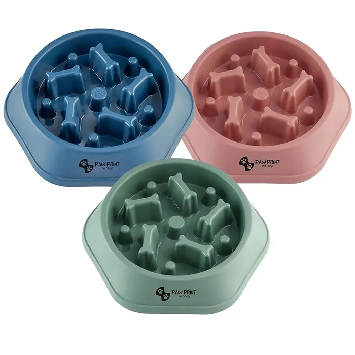 Slow Food Feeding Pet Bowl 4