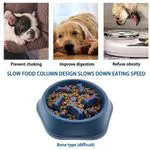 Slow Food Feeding Pet Bowl 5