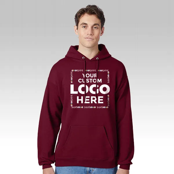 Hanes EcoSmart Hoodie 1