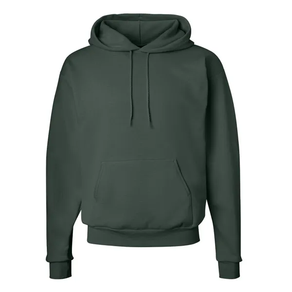 Hanes EcoSmart Hoodie 12