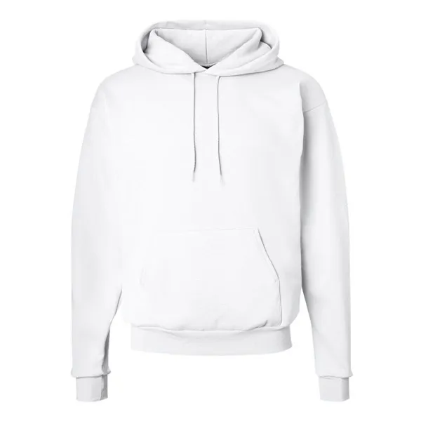 Hanes EcoSmart Hoodie 2