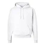 Hanes EcoSmart Hoodie 2