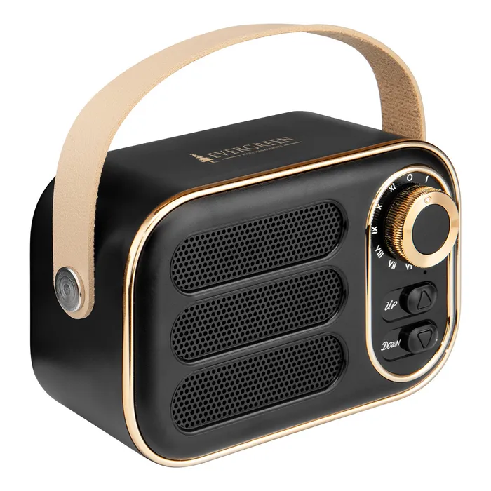 AWS Retro Boom FM Radio & Wireless Speaker 1