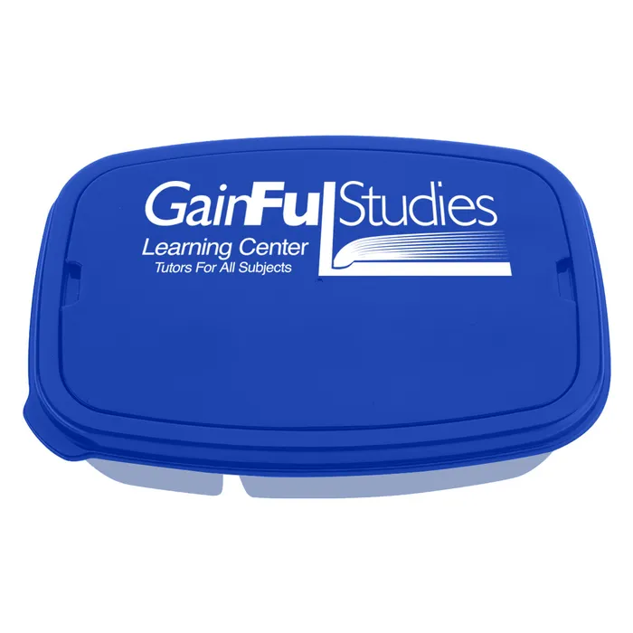 2-Section Lunch Container With Custom Handle Box 2
