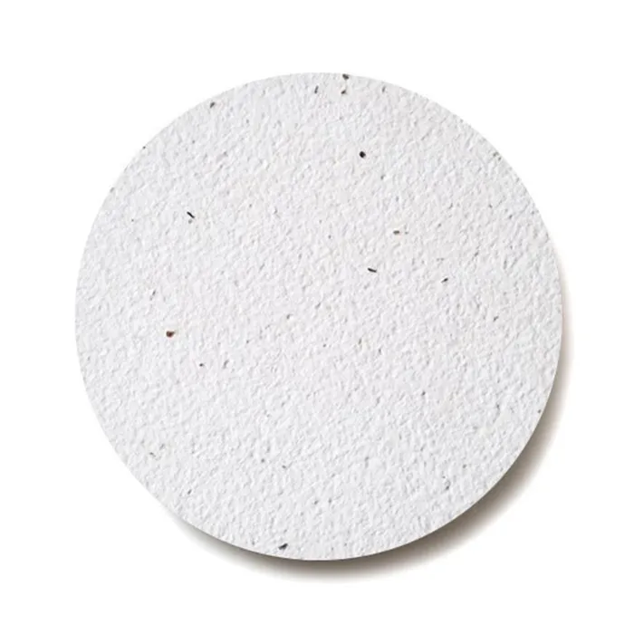 Bloomin® Seed Paper Coaster 2