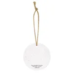 Bloomin® Circle Shaped Plantable Holiday Ornament 2