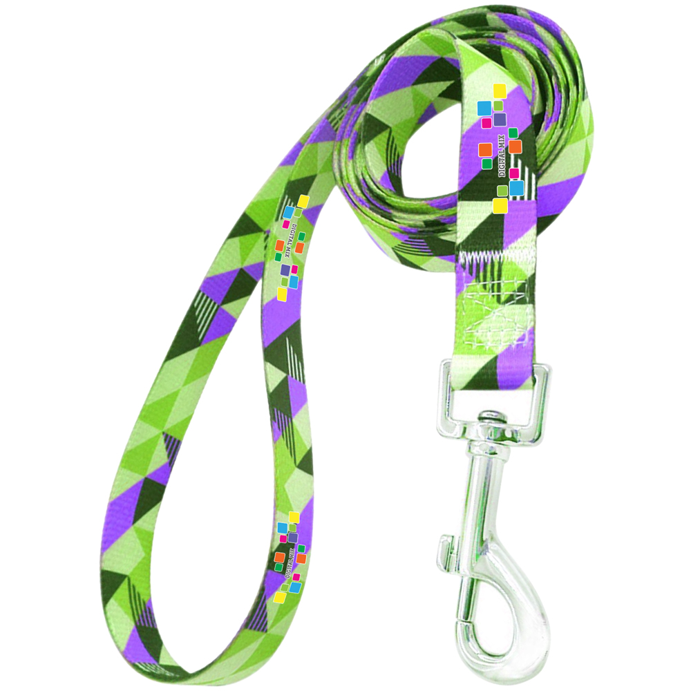 Dog Leash with Adjustable Collar and Carabiner