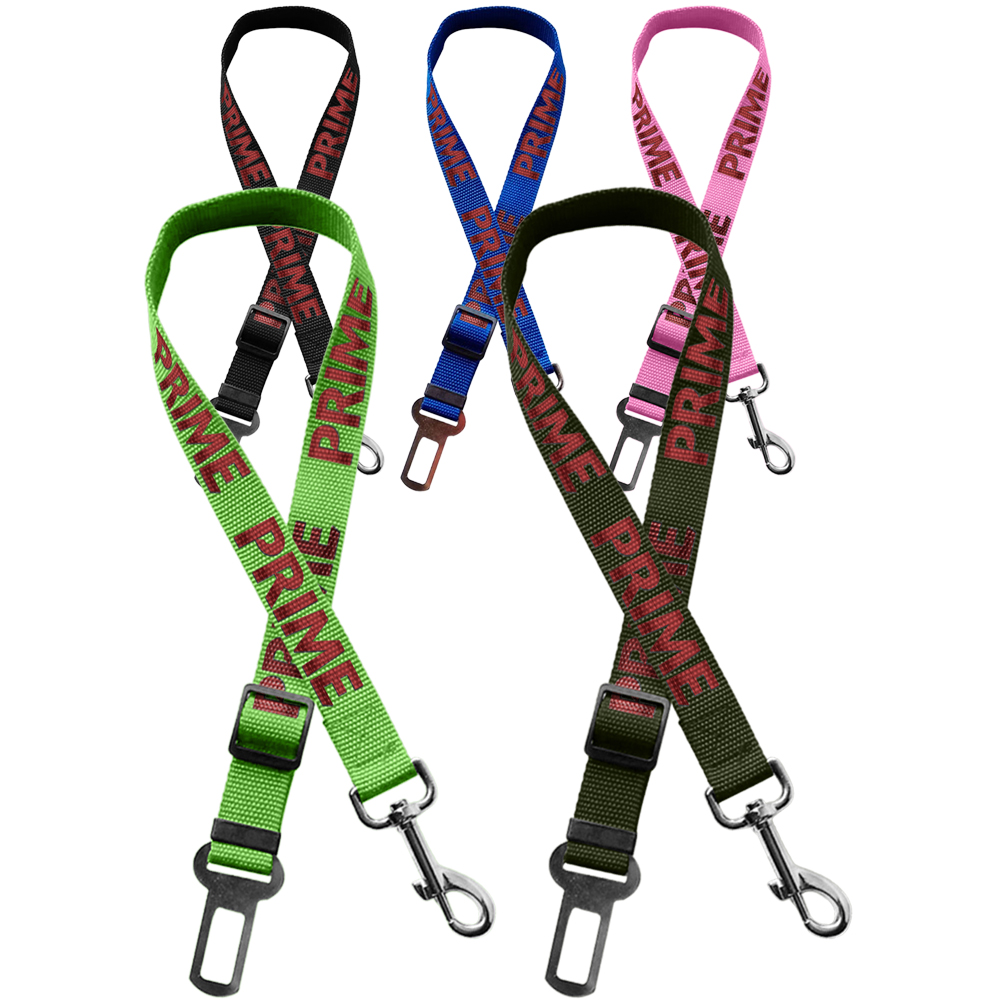 Eco-Friendly Adjustable Pet Safety Seatbelt Leash