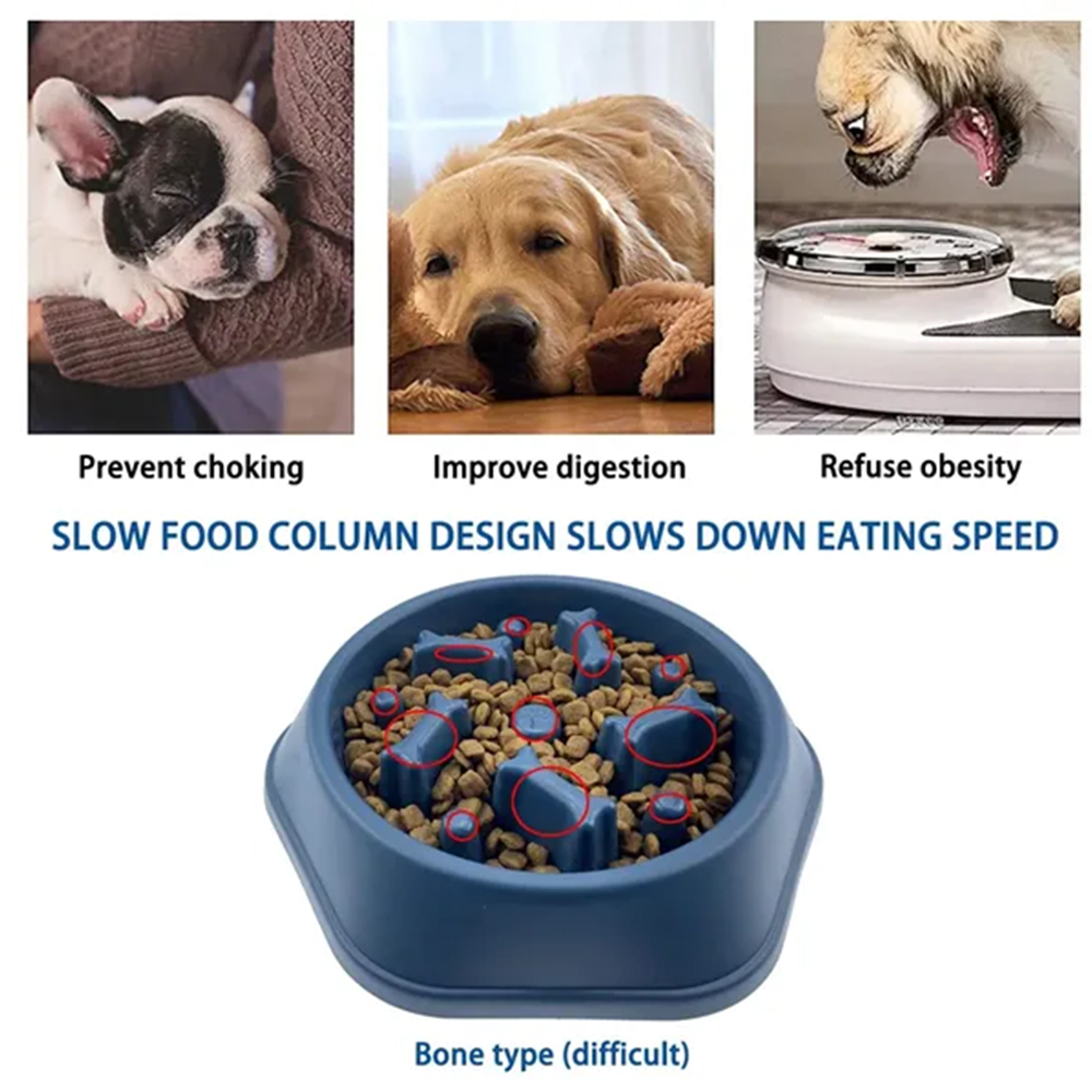 Slow Food Feeding Pet Bowl 5