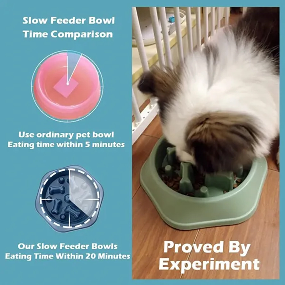 Slow Food Feeding Pet Bowl 6