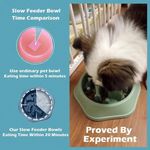 Slow Food Feeding Pet Bowl 6