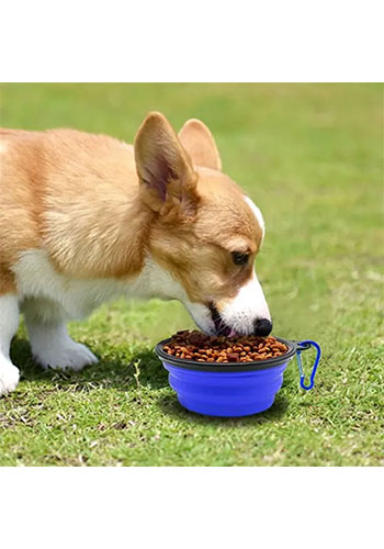 350ml Collapsible Pet Bowl with Carabiner 4