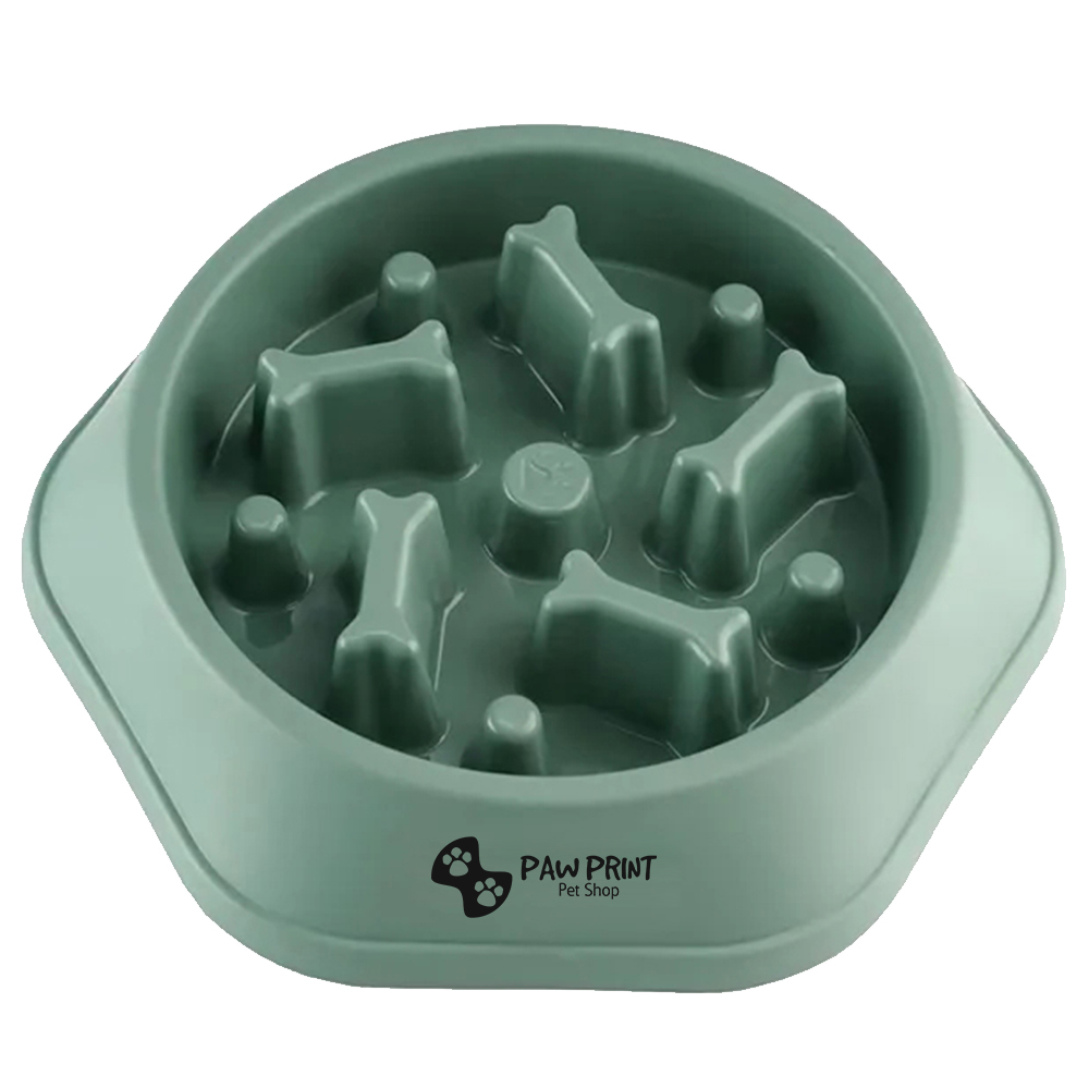 Slow Food Feeding Pet Bowl 1