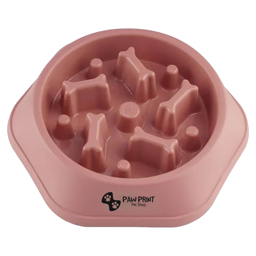 Slow Food Feeding Pet Bowl 2
