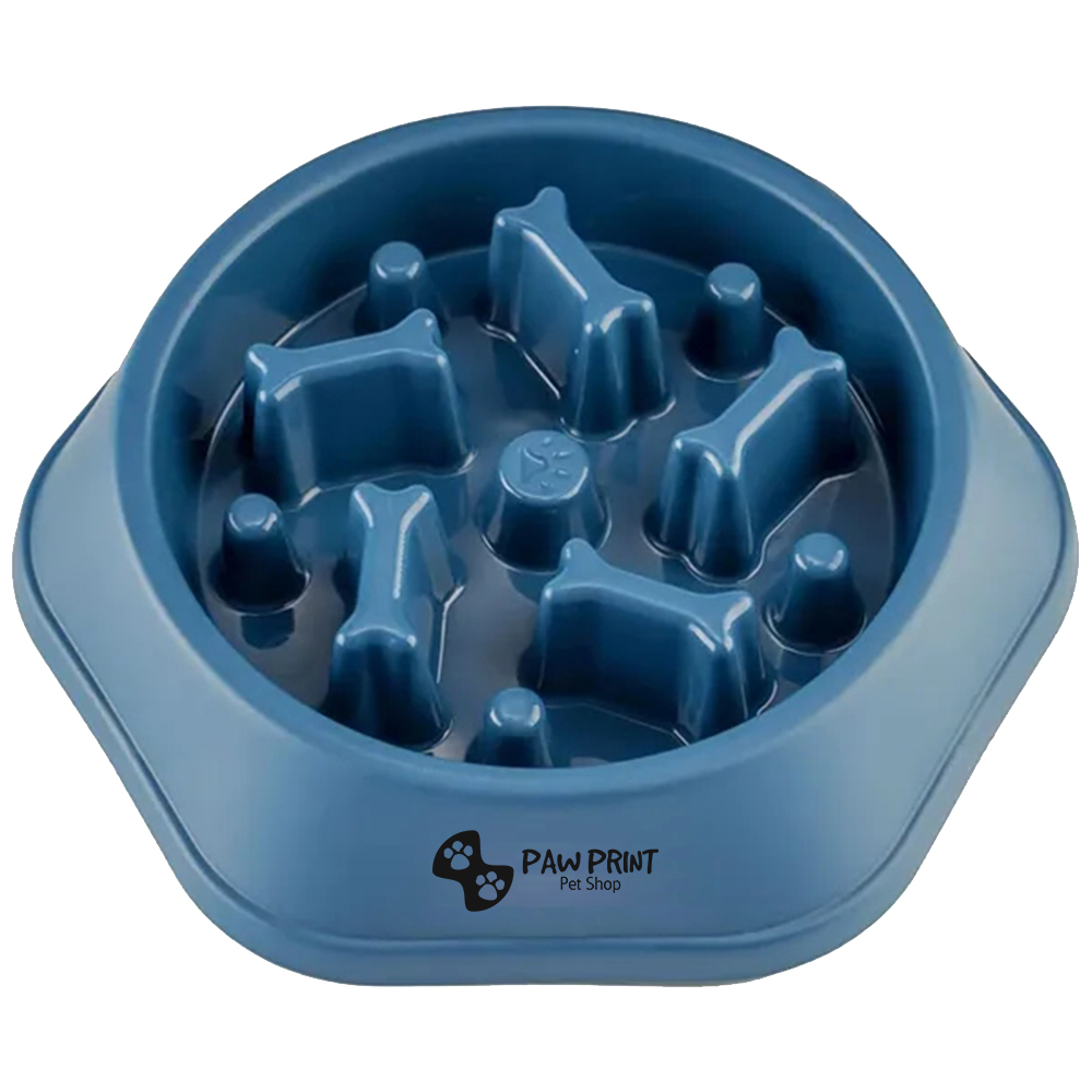 Slow Food Feeding Pet Bowl 3