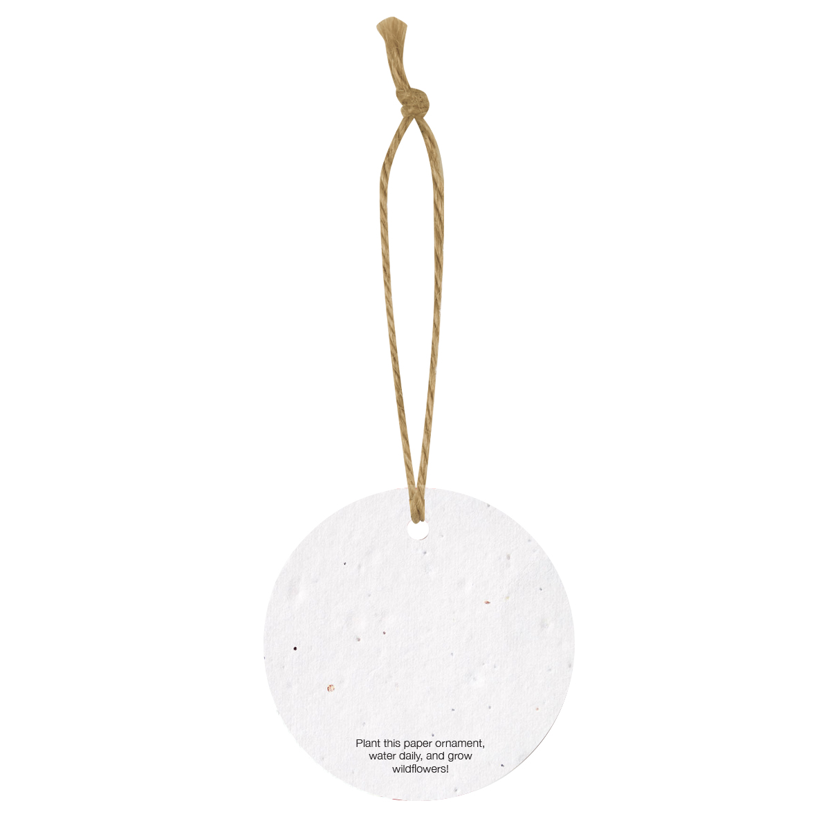 Bloomin® Circle Shaped Plantable Holiday Ornament 2